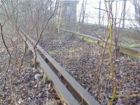 Near to Dalmarnock Station below a section of track suddenly appears complete with Check Rail.<br><br>[Colin Harkins 04/02/2006]