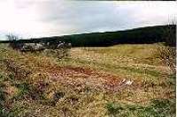 Looking north at the site of the former Whitrope Box and siding.<br><br>[Ewan Crawford //]