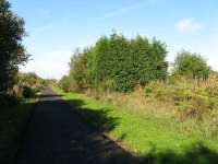 Dunfermline, Whitemyre Junction looking west.  The West of Fife Mineral Railway diverged to the right here, its formation lies directly behind the leylandii trees in the centre.  The main line now forms the West of Fife Cycle Way.<br><br>[Mark Poustie 23/09/2006]