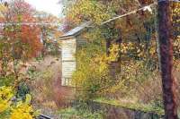 In November 2006 the old signal box can still be seen through the shrubbery at the east end of the former Pitcaple station.<br><br>[John Furnevel 08/11/2006]