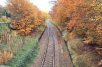 Autumn at Pitcaple in November 2006. Looking east from the road bridge over the platform remains. The side of the signal box can just be seen in the background.<br><br>[John Furnevel 08/11/2006]
