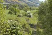 Back to nature at Menstrie on 15 May 2007. View east from road bridge. <br><br>[Bill Roberton 15/05/2007]