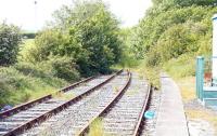 End of the line. Looking west from the platform at Stranraer Town in May 2007, with the former route through to Portpatrick disappearing into the undergrowth. In amongst the trees is the road bridge at the south end of Victoria Place.<br><br>[John Furnevel 31/05/2007]