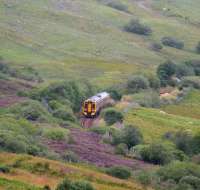 Inverness train southbound through the heather in Strathfleet in the summer of 2007.<br><br>[John Furnevel 27/08/2007]