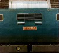 Sir Gordon Richards 1953 Epsom Derby winner <I>Pinza</I> lends its name to Deltic 55007, photographed on the last leg of 1S27 Plymouth - Edinburgh at Newcastle Central on 11 July 1981. <br><br>[Colin Alexander 11/07/1981]