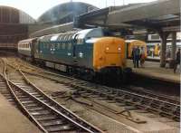 Deltic 55007 <I>Pinza</I> stands at Newcastle Central on 11 July 1981 with the last leg of 1S27 Plymouth - Edinburgh Waverley.<br><br>[Colin Alexander 11/07/1981]