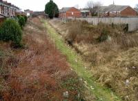 The former Deepdale station on the Preston and Longridge Railway looking northeast from Deepdale Road bridge on 22 February. Platform remains can still be seen amongst the undergrowth, which is more than can be said for the track.   <br><br>[John McIntyre 22/02/2008]