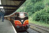 CIE 080 stands with a train at Waterford in 1993.<br><br>[Bill Roberton //1993]