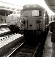 50039 <I>Implacable</I> brings the 1S27 Plymouth - Edinburgh train into York platform 15 on 14 April 1981. Standing ready to take over the train for the York - Edinburgh leg is Deltic 55015 <I>Tulyar</I>.  <br><br>[Colin Alexander 14/04/1981]
