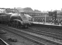 All eyes turn from the Deltic standing at Doncaster with an ECML service, to see A4 Pacific 60033 <I>Seagull</I> rushing past on the up through line with a non-stop for Kings Cross. The date is thought to be 28 July 1962 and the train most likely the 12.15pm Newcastle - Kings Cross. <br>
<br><br>[K A Gray 28/07/1962]