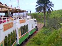 The St Kitts narrow gauge Scenic Railway, with 6 double-deck carriages using the former sugar cane plantation lines. The man in the green and white shirt is part of a trio singing traditional songs to the passengers.