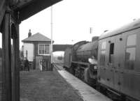 61342 makes a photostop at Bogside Race Course in April 1966 with <I>Scottish Rambler no 5</I>. The B1 was taking the special south from Ardrossan Montgomerie Pier to Girvan goods. [See image 30034]<br><br>[K A Gray 10/04/1966]
