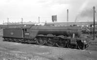 Gresley A3 Pacific no 60088 <I>Book Law</I> in the sidings alongside Heaton shed around 1959.<br><br>[K A Gray //1959]