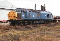 A trainload of steel sections stands alongside Skinningrove rolling mill in August 1985 behind 37013 sporting the West Highland <I>Scottie</I> symbol.<br><br>[David Pesterfield 21/08/1985]