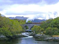 45231 crosses Morar Viaduct with <I>The Jacobite</I> in May 2009.<br><br>[John Robin 21/05/2009]