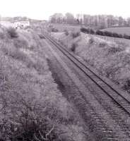 View north towards Kilbarchan station in 1974.<br><br>[Colin Miller //1974]