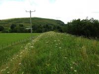 Looking east along the trackbed at Dalveich, the weeds and grass are waist high.<br><br>[John Gray 30/07/2009]