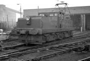 Scene at Westoe Colliery, South Shields around 1959, with NCB no 14 standing in the shed yard.<br>
<br><br>[K A Gray //1959]