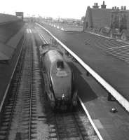 4498 <I>Sir Nigel Gresley</I>, fresh from Crewe Works, heading north through Carnforth in May 1968 bound for Carlisle. The A4's ultimate destination was Glasgow, where the locomotive was due to haul an A4 Society special from Central on 20 May. [see image 20388]<br><br>[David Spaven //1968]