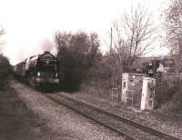 60163 <I>Tornado</I> passing the site of the former Purton station (closed 1964) on the Gloucester - Swindon line on 7 November 2009 with a <I>Pathfinder</I> excursion. <br><br>[Peter Todd 07/11/2009]