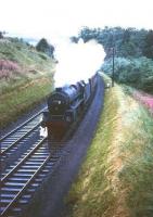 Kingmoor Black 5 no 45236 takes a northbound train through Drumlanrig Gorge, flanked by flowering Rosebay Willowherb, on a Summers day in the mid 1960s. <br><br>[Robin Barbour Collection (Courtesy Bruce McCartney) //]