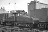 One of the pair of ES1 electric locomotives built to operate the Newcastle Quayside branch, no 26501, stands in the sidings alongside Heaton shed around 1960. Both locomotives were withdrawn in 1964 and, while this example was eventually scrapped, no 26500 happily survived and is currently housed in the NRM at Shildon. [See image 17307]<br><br>[K A Gray //1960]