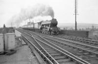 Haymarket A3 Pacific no 60035 <I>Windsor Lad</I> passes Tweedmouth signal box on 6 August 1957 and is about to run through Tweedmouth station with the up <I>Heart of Midlothian</I>. [Rescued image]<br>
<br><br>[Robin Barbour Collection (Courtesy Bruce McCartney) 06/08/1957]