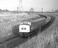 Class 45 no 118 on the Niddrie North to Niddrie West curve with a special train of empty Carflats, presumably from Bathgate to the Midlands, on 4th February 1970.<br>
<br><br>[Bill Jamieson 04/02/1970]