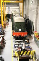 EE Type 1 no D8000 receives attention in the works area at the National Railway Museum on 25 March 2010. <br><br>[John Furnevel 25/03/2010]