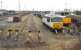 General view south over Warrington yard on 3 March 2010 with 56018 stabled alongside some yellow Network Rail coaches amongst various wagons. <br>
<br><br>[John McIntyre 03/03/2010]
