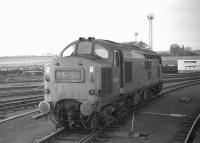 Class 37 No. D6903 standing at the north end of Millerhill Yard on Wednesday 18th February 1970 prior to working the 15.07 Millerhill to Leith South trip. The 1E3- reporting number suggests not that the loco has previously worked an up ECML express but that the right hand blind in the headcode box is inoperative, preventing the correct Edinburgh Area pilot number, E13, being displayed. Photographed from the veranda of a brake-van attached at the front of the train for an EURS party. The consist behind D6903 was about 20 loaded coal wagons plus two brake vans.  The coal wagons were for Portobello power station and were deposited in the SSEB exchange sidings at Kings Road.  This left just the two brake vans to take forward from Kings Road to Leith South yard (with thanks to Andrew Boyd).<br><br>[Bill Jamieson 18/02/1970]