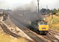 A 'Western' diesel hydraulic lays a smokescreen over Stoke Gifford Yard in the northern suburbs of Bristol as it passes with a South Wales - Paddington express in the summer of 1971. Stoke Gifford is now home to the successful Bristol Parkway station. The locomotive cannot be identified from the photograph but has been suggested as being no 1027 <I>Western Lancer</I>. [with thanks to Dave Blake].<br>
<br><br>[Bill Jamieson 24/07/1971]