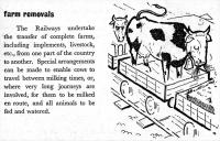 <I>Farm removals!</I> Service advertised in a 1960 BR (SR) timetable. [One cow seems quite happy with the service but the one behind looks less than pleased!]<br><br>[Colin Miller //1960]