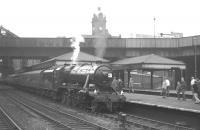 Stanier 8F no 48197 at Nottingham Victoria on 13 August 1966 with the RCTS <I>Great Central Rail Tour</I>. The train had arrived from London Waterloo behind <I>West Country</I> Pacific no 34002 <I>Salisbury</I> and the 8F handled the next leg of the tour as far as Shireoaks. [See image 30330] <br><br>[K A Gray 13/08/1966]