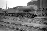 Class J38 0-6-0 no 65918 stands in the shed yard at Seafield in February 1960.<br><br>[Robin Barbour Collection (Courtesy Bruce McCartney) 07/02/1960]