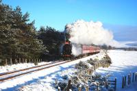 In freezing conditions and leaking a little steam, Caledonian Railway 0-6-0 no 828 pictured just south of Broomhill on its way back to Aviemore with the 'Santa Express' on Christmas Eve 2010. <br><br>[John Gray 24/12/2010]
