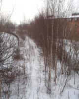 <I>Slumbering under the snow</I>. Tracks of the erstwhile Longridge branch, unused now for nearly twenty years, can just be seen beneath the Boxing Day snow and the Silver Birch trees. This view looks towards the now severed junction with the main line [See image 23275] and also shows the student accommodation built on the site of Maudlands Goods Yard.<br><br>[Mark Bartlett 26/12/2010]