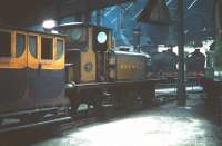 Inside the roundhouse at Tweedmouth on 6 June 1959. In store at the time were three locomotives belonging to the National Collection. Seen here is LBSCR Terrier 0-6-0T no 82 Boxhill, while nearby were SE&CR D class 4-4-0 no 31737 and LSWR T3 4-4-0 no 563. The locomotives spent approximately a year here from July 1958. They can be seen today on display at the NRM with the first two currently at York and no 563 at Shildon.<br><br>[A Snapper (Courtesy Bruce McCartney) 06/06/1959]