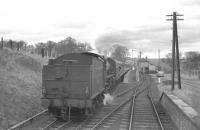 'Scottish Rambler no 2' stands at Nisbet on 14 April 1963 behind B1 4-6-0 no 61324. The B1 had taken over the special at Coldstream and had pulled up here for a photostop on the journey to Jedburgh. Nisbet had closed to passenger traffic along with the other stations on the Jedburgh branch in 1948 but freight continued to use the line between Roxburgh Junction and Jedburgh until 1966. [See image 19897]<br><br>[K A Gray 14/04/1963]