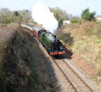 Scene on the West Somerset Railway on 18 March 2011 with ex-GWR 2-8-0 no 2807 en route from Williton to Crowcombe.<br><br>[Peter Todd 18/03/2011]