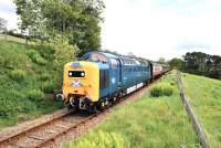 Sparkling Deltic no 55 022 <I>Royal Scots Grey</I> climbs the 1 in 50 gradient between Fodderty Junction and Achterneed on 28 May hauling the SRPS <I>Kyle Crusader</I> railtour to Kyle of Lochalsh.<br><br>[John Gray 28/05/2011]