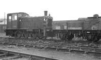 D2104 shunting the sidings at Tweedmouth on the morning of 27 May 1967.<br><br>[Bill Jamieson 27/05/1967]