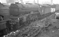 Gresley V2 2-6-2 no 60873 <I>Coldstreamer</I> stands amongst the clutter at Heaton shed on 10 February 1962. The V2 was withdrawn by BR at the end of that year.<br><br>[K A Gray 10/02/1962]