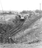 View north east from the A73 road bridge south of Newmains in May 1971 as a Clayton brings a lengthy freight out of the Costain cement works to join the former Wishaw and Coltness line at Stirling Road Junction. The train will join the WCML a mile further west at Garriongill Junction.<br>
<br><br>[John Furnevel 03/05/1971]