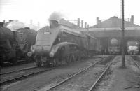 Scene in the shed yard at 36A Doncaster on 7 October 1962, with A4 Pacific no 60029 <I>Woodcock</I> centre stage.<br><br>[K A Gray 07/10/1962]