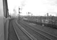 The RCTS (West Riding Branch) <I>Borders Rail Tour</I> from Leeds City stopped short of Petteril Bridge Junction, Carlisle, on 9 July 1961. Stanier Pacific 46247 <I>'City of Liverpool'</I> was relieved here by B1s 61242 + 61290 for the next leg of the journey to Hawick [see image 33252].<br><br>[K A Gray 09/07/1961]