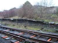 Remains of the north end of the redundant northbound platform at Tondu, which once handled services coming off the line from Margam. Two complete, but now disconnected, sidings remain in situ amongst the undergrowth behind the platform. [See image 18266]<br><br>[David Pesterfield 22/12/2011]