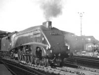 A locomotive that spent almost all of its operational life at Kings Cross shed until withdrawal in April 1963 was Gresley A4 no 60013 <I>'Dominion of New Zealand'</I>. The Pacific is seen here leaving Newcastle Central, homeward bound, with an ECML service. <br><br>[K A Gray //]