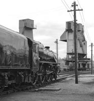 Sparkling condition aside, this view of Black 5 No. 44871 at Carnforth Shed could almost have been taken during the BR steam era. In reality the year is 1977 and the loco has already spent the best part of nine years in preservation.<br><br>[Bill Jamieson 08/05/1977]