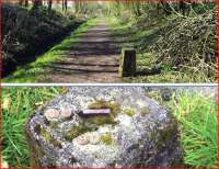 The top picture shows a trackside relic just south west of Castle Douglas - view looking west. Below is the top surface of one of a pair of them standing at the sides of a path within Threave Gardens, complete with metal numbers. Both photographs taken on 1 April 2012. [See image 41753 for explanation]<br><br>[Colin Miller 01/04/2012]